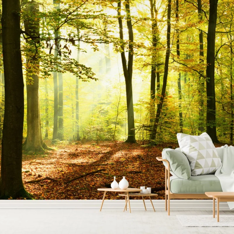 Wälder – Wallnifity®