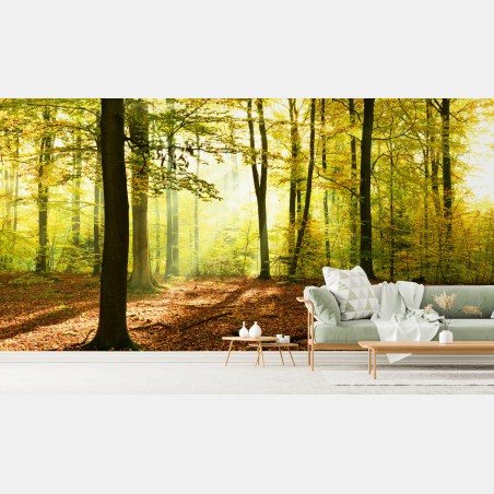 Fototapete goldener herbstwald am morgen – Wallnifity®