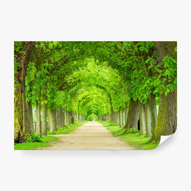 Bäume – Wallnifity®