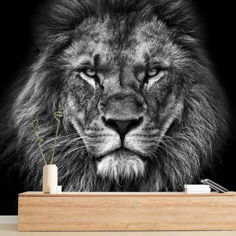 Tiere – Wallnifity®