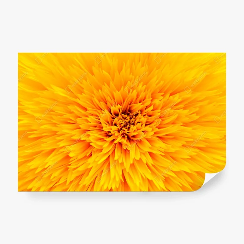 Blumen – Wallnifity®