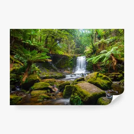 Fototapete üppiger waldwasserfall – Wallnifity®
