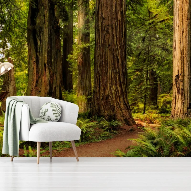 Wälder – Wallnifity®