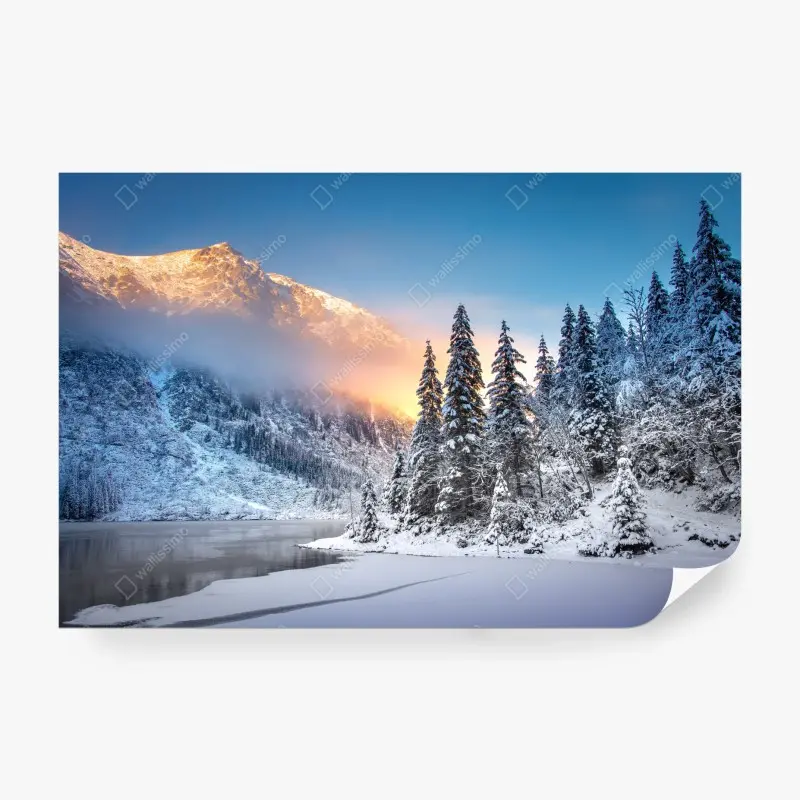 Skandinavisch – Wallnifity®