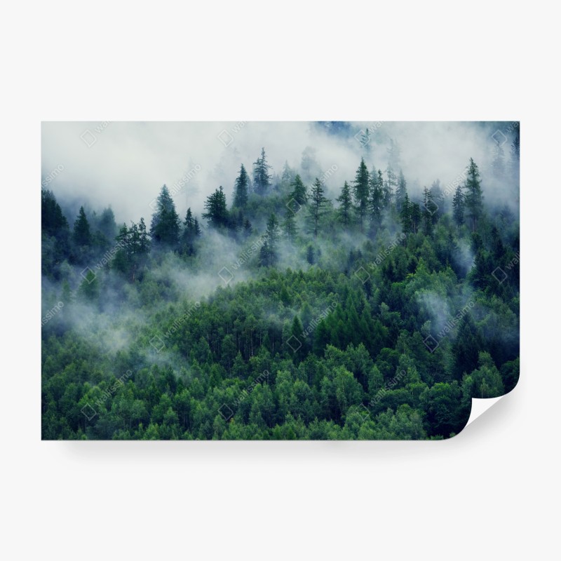 Natur – Wallnifity®