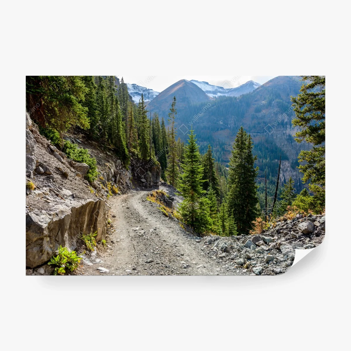 Fototapete bergpfad durch alpinen wald – Wallnifity®