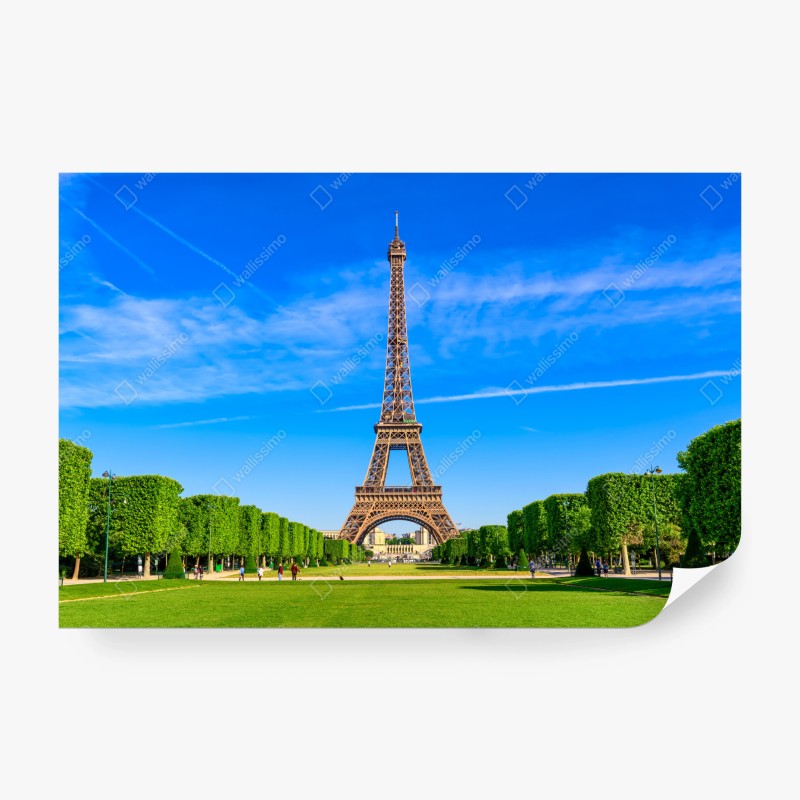 Architektur – Wallnifity®