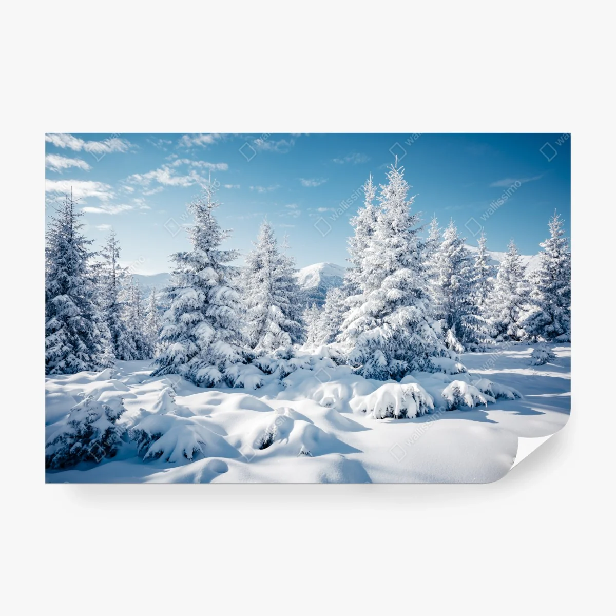Fototapete winterruhe in den Karpaten – Wallnifity®