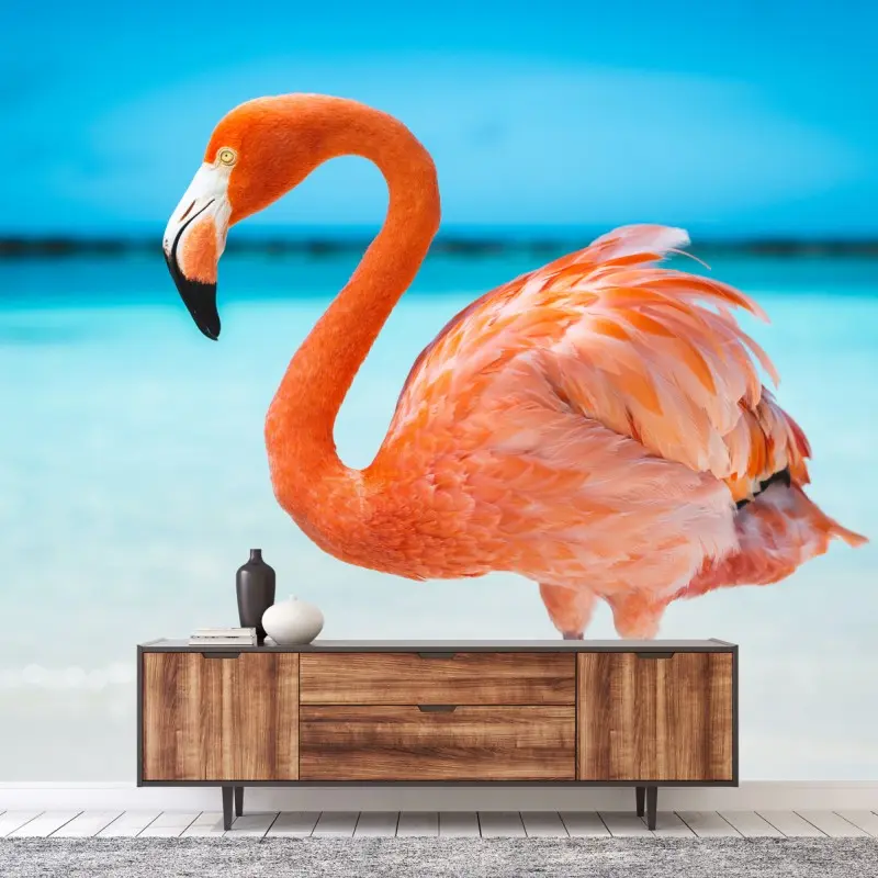 Vögel – Wallnifity®