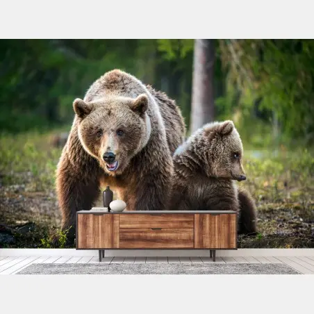 Fototapete braunbär mit jungem im wald – Wallnifity®