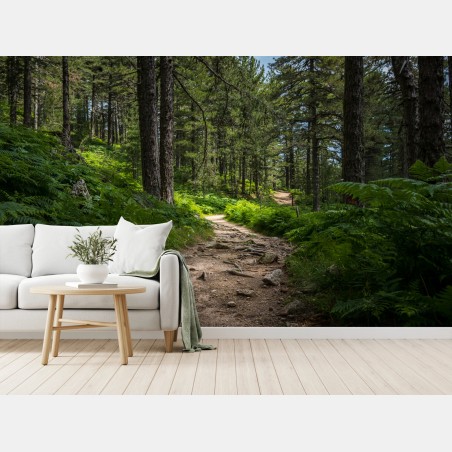 Fototapete ruhiger waldpfad durch üppiges grün – Wallnifity®