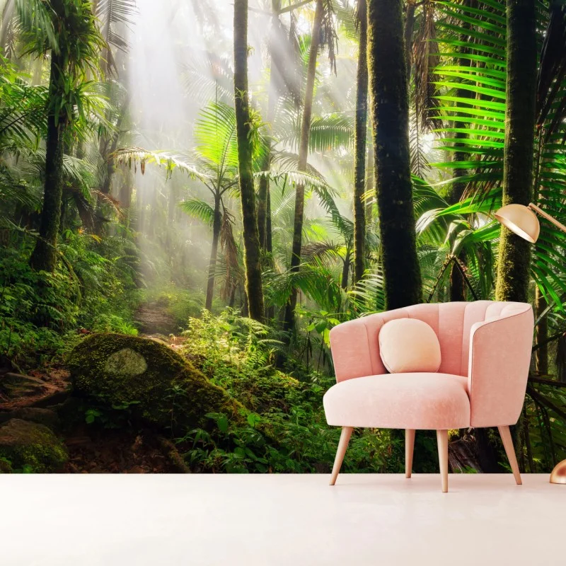 Fototapete tropischer regenwald mit sonnenstrahlen – Wallnifity® Fototapete tropischer regenwald mit sonnenstrahlen – Wallnifity®