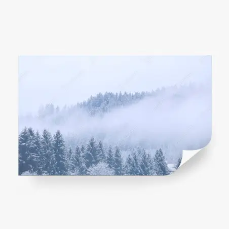 Fototapete winternebel über nadelwald – Wallnifity®
