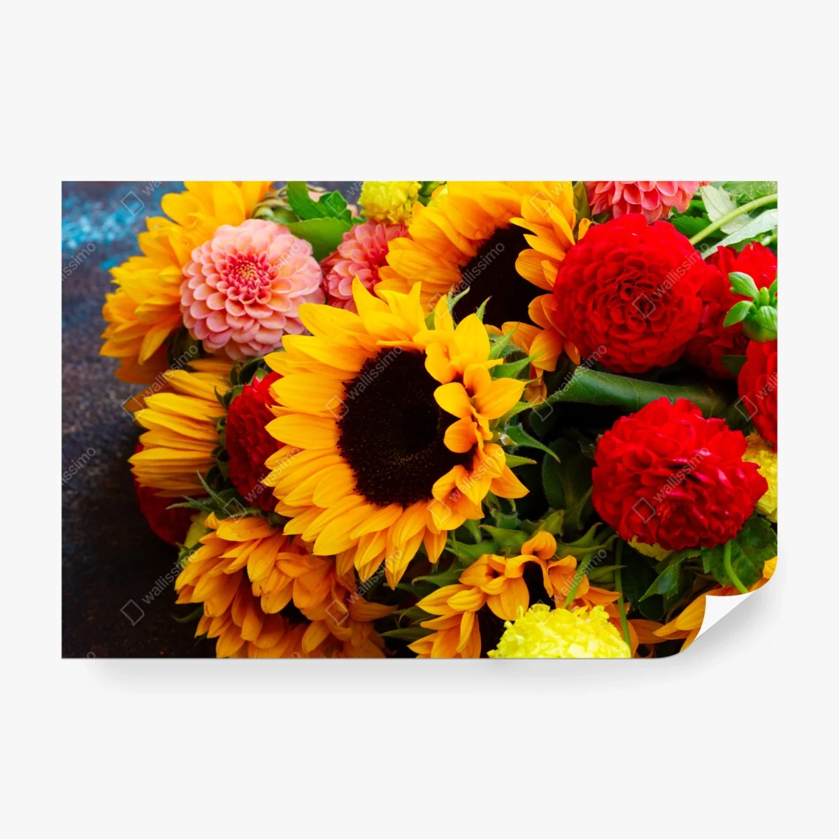 Fototapete nahaufnahme sonnenblumen- und dahlienstrauß – Wallnifity®