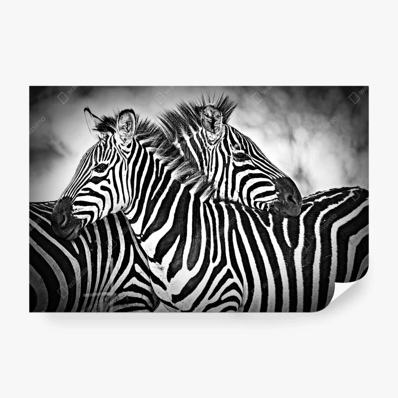 Tiere – Wallnifity®