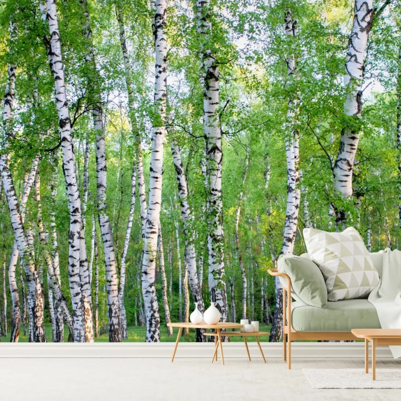 Fototapeten – Wallnifity®