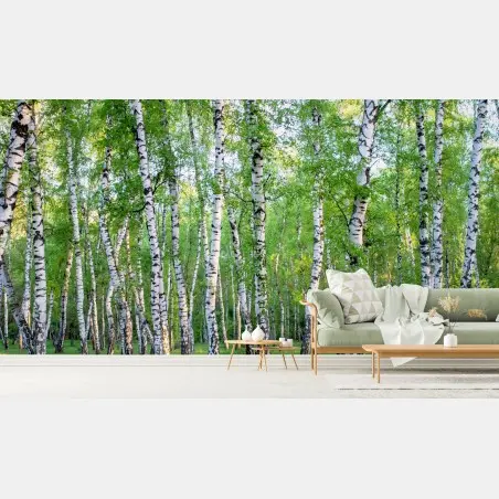 Fototapete ruhiger birkenhain im sommer – Wallnifity®