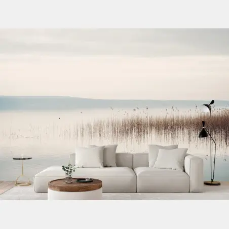 Fototapete ruhige schilfzone am see – Wallnifity®