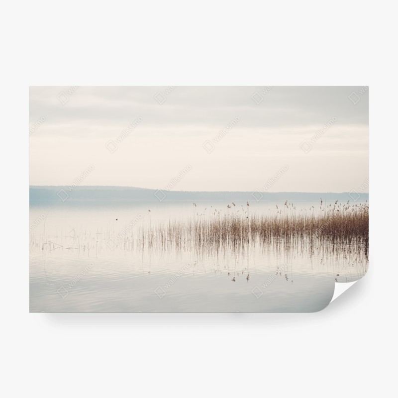 Natur – Wallnifity®