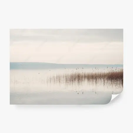 Fototapete ruhige schilfzone am see – Wallnifity®