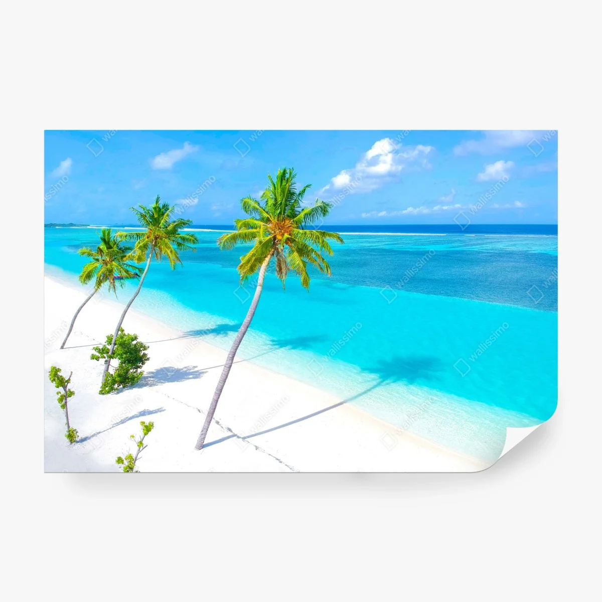 Fototapete tropischer türkisfarbener strand mit palmen – Wallnifity®