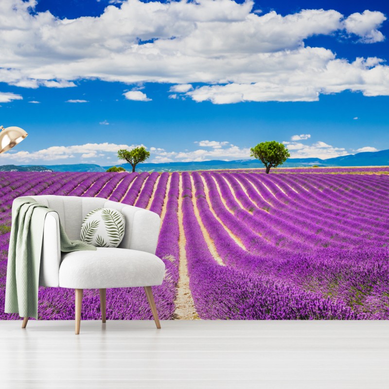 Landschaften – Wallnifity®