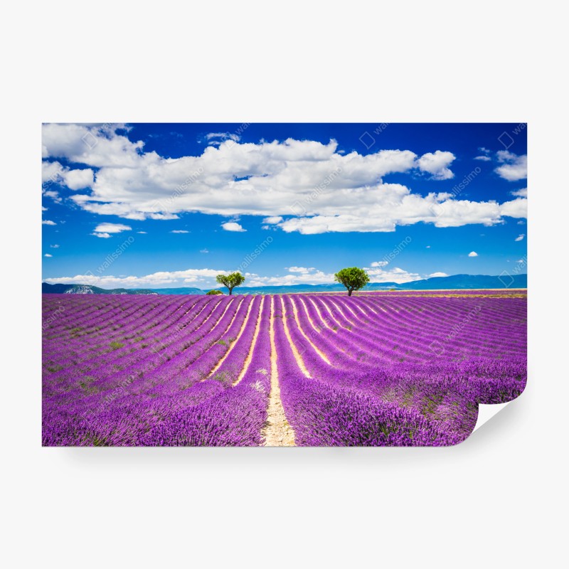 Landschaften – Wallnifity®