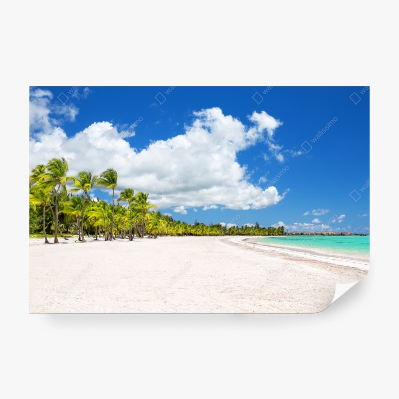 Natur – Wallnifity®
