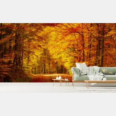 Fototapete goldener herbstwaldweg – Wallnifity®