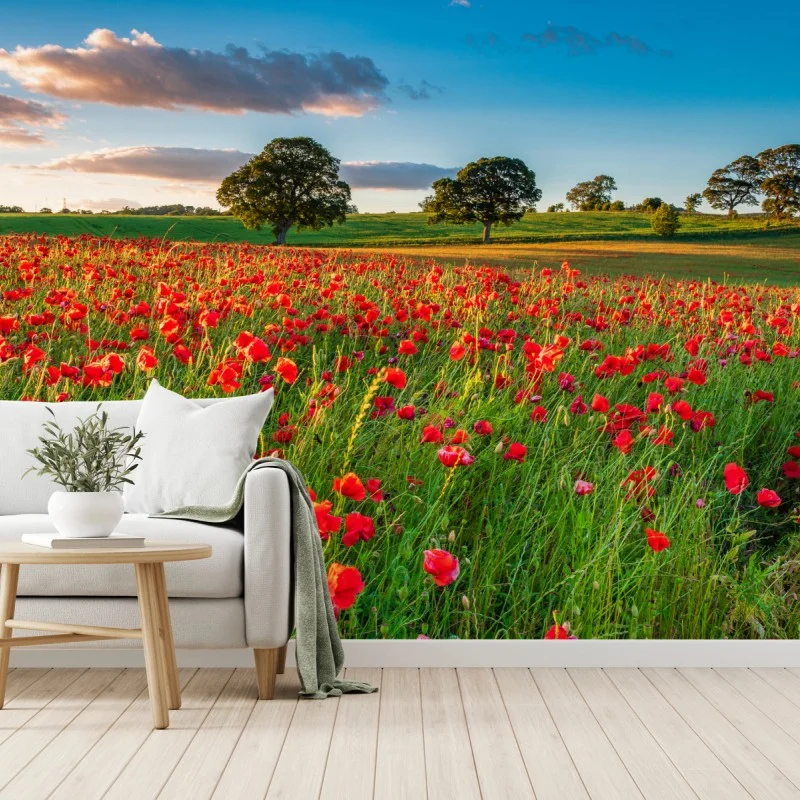 Fototapete rotes mohnfeld bei Corbridge – Wallnifity®