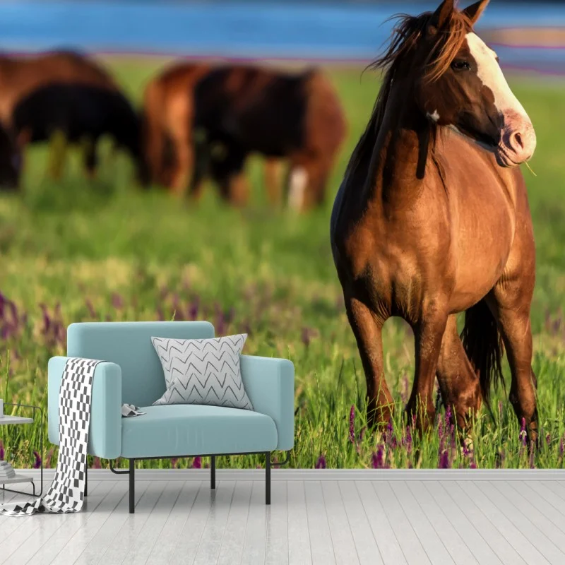 Wiesen – Wallnifity®