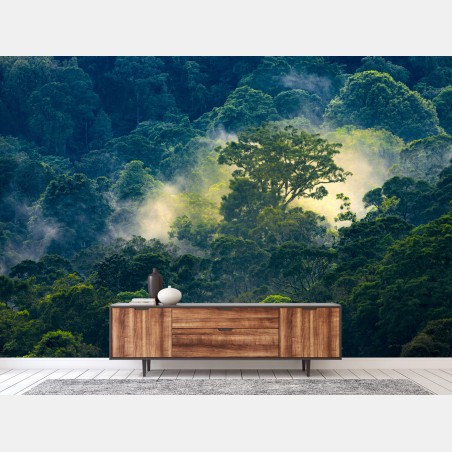 Fototapete nebliger regenwald mit baumkronen – Wallnifity®