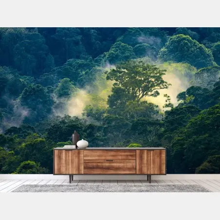 Fototapete nebliger regenwald mit baumkronen – Wallnifity®