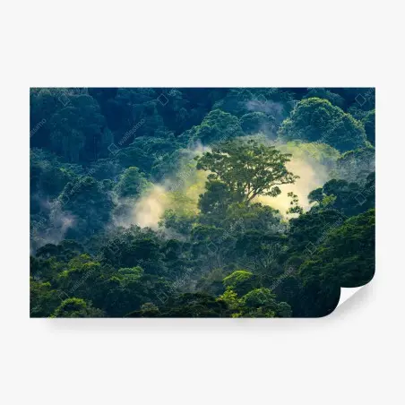Fototapete nebliger regenwald mit baumkronen – Wallnifity®