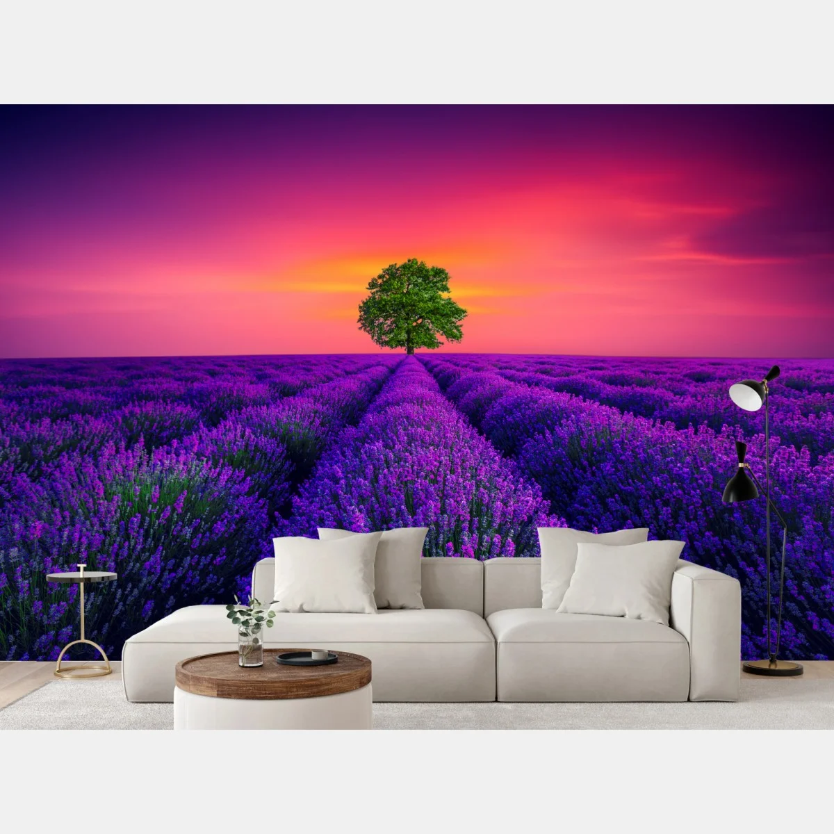 Fototapete lavendelfeld bei sonnenuntergang mit einsamem baum – Wallnifity® Fototapete lavendelfeld bei sonnenuntergang mit einsamem baum – Wallnifity®