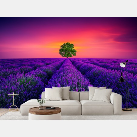 Fototapete lavendelfeld bei sonnenuntergang mit einsamem baum – Wallnifity®