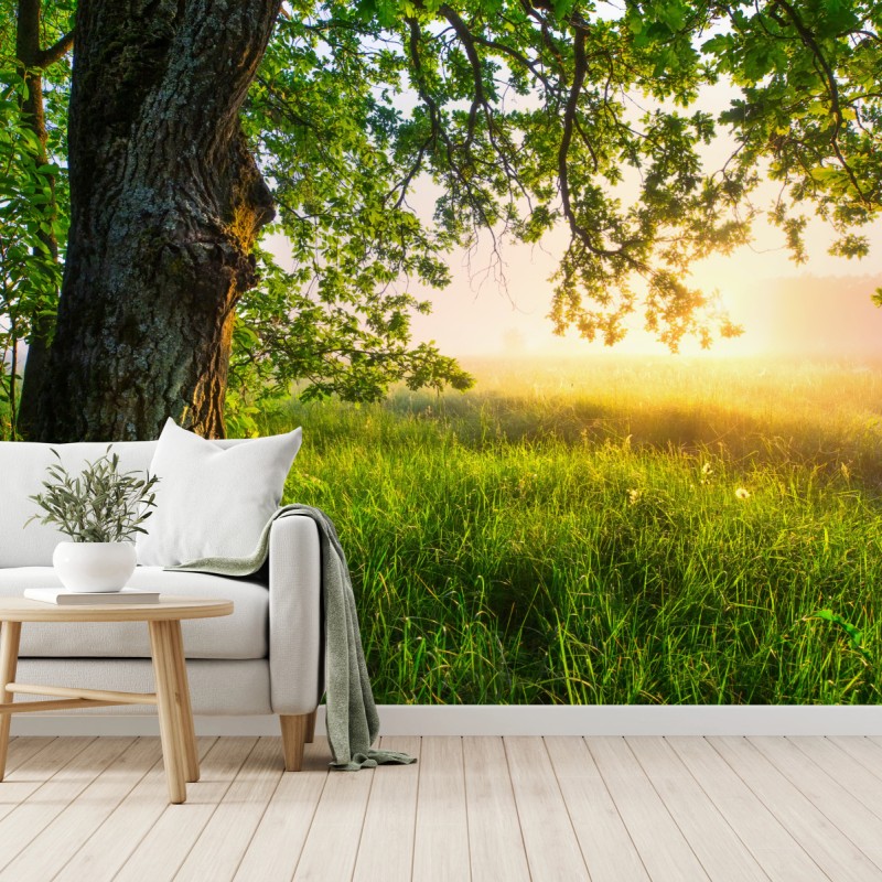 Natur – Wallnifity®
