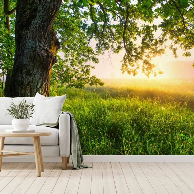 Wiesen – Wallnifity®