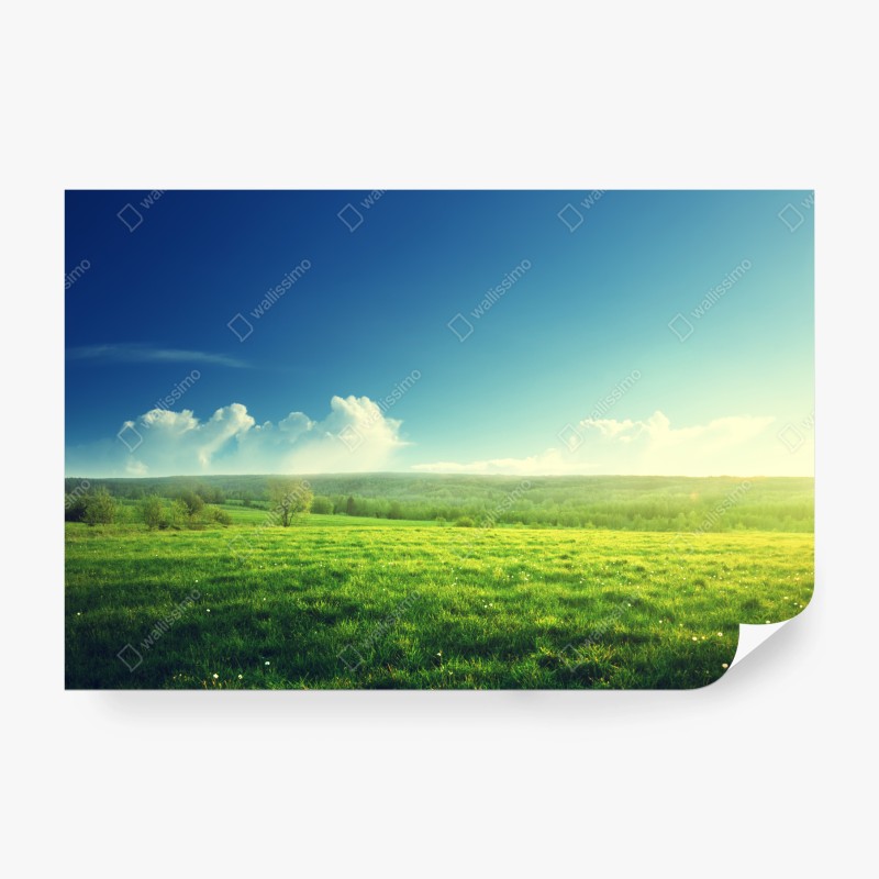 Natur – Wallnifity®