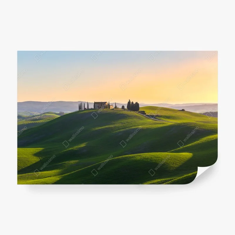 Fototapete – Wallnifity®