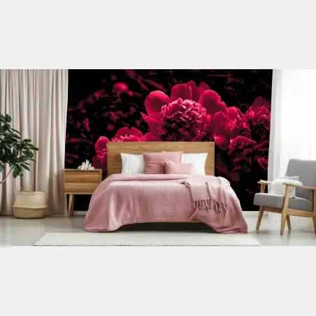 Fototapete stimmungsvolle rosa pfingstrosen – Wallnifity®