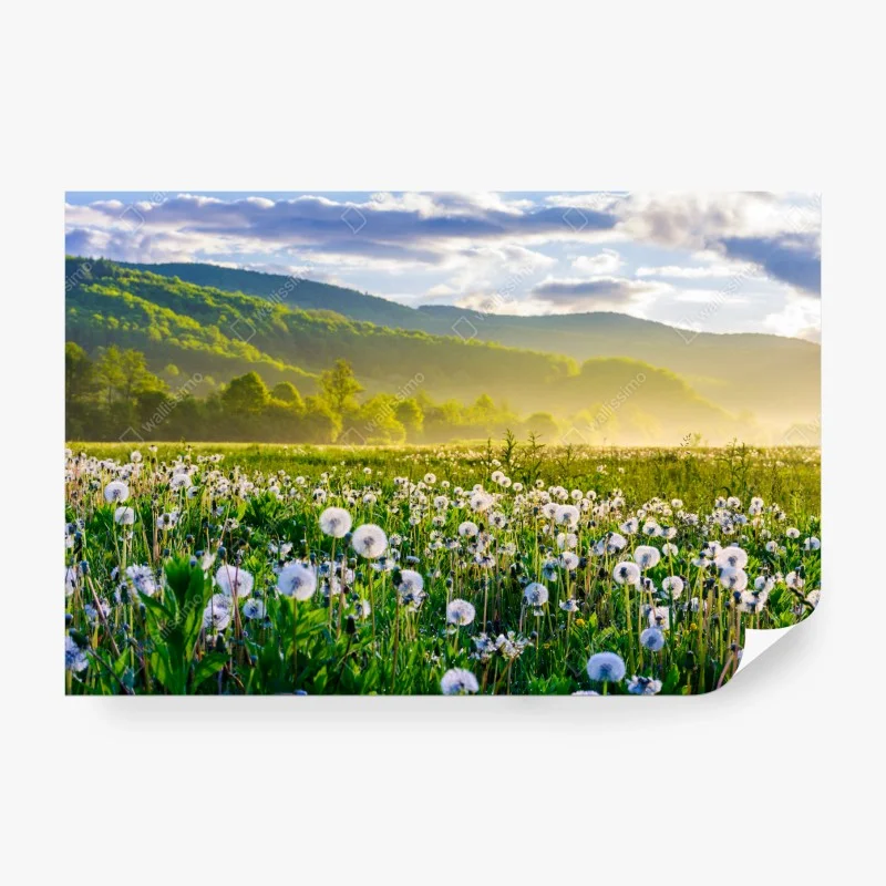 Fototapete tropischer strand mit palmen und segelboot – Wallnifity®