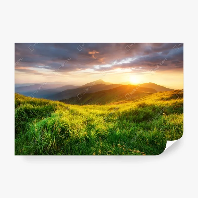 Natur – Wallnifity®