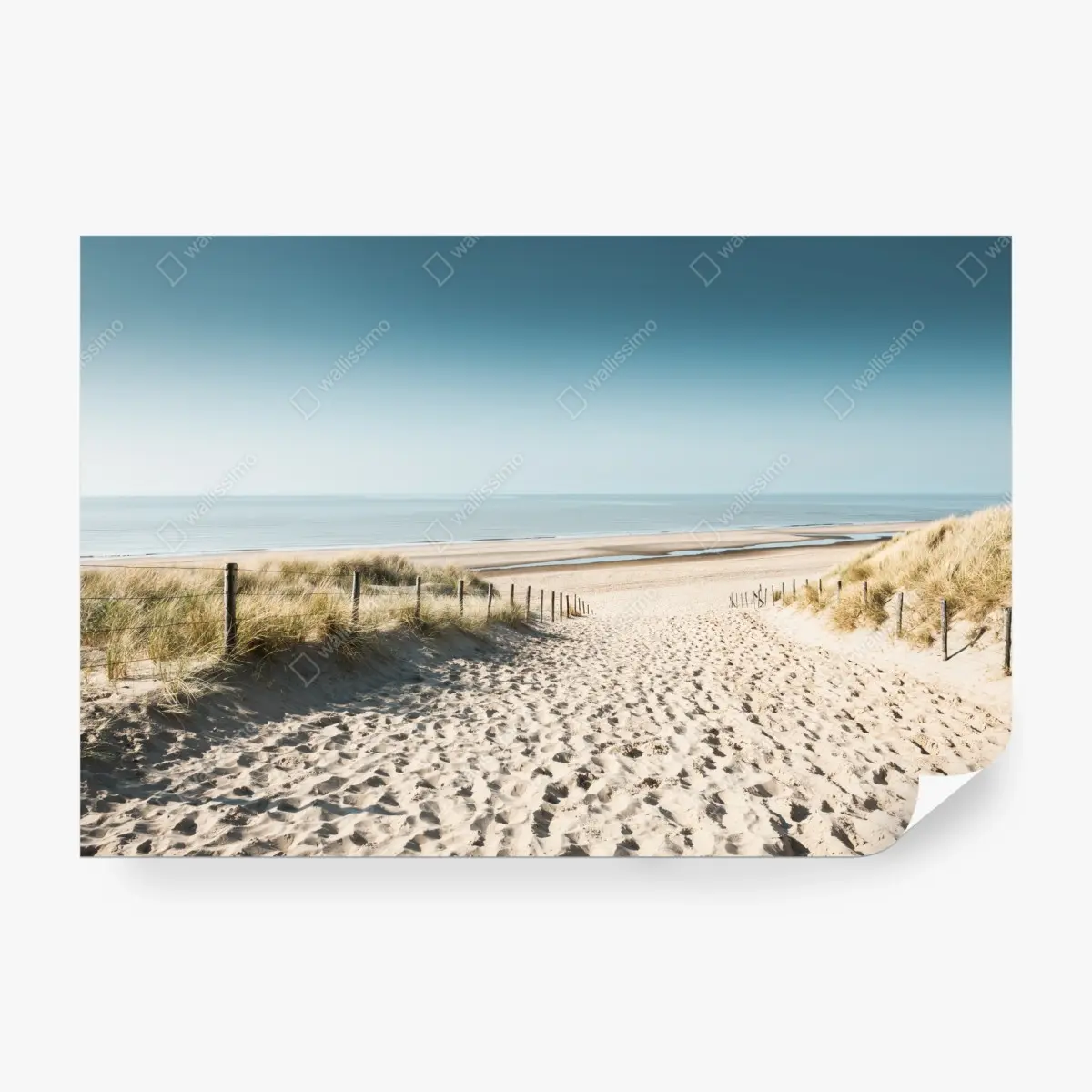 Fototapete sanddünen und ruhige Nordsee bei Noordwijk – Wallnifity®