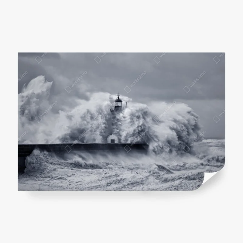 Meere & Ozeane – Wallnifity®