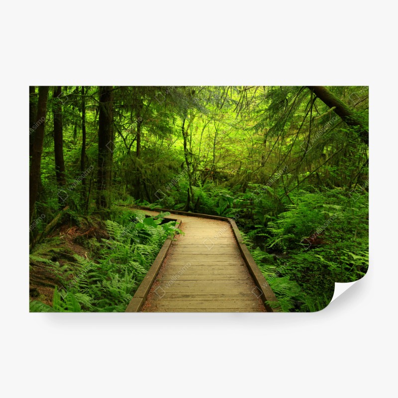 Natur – Wallnifity®