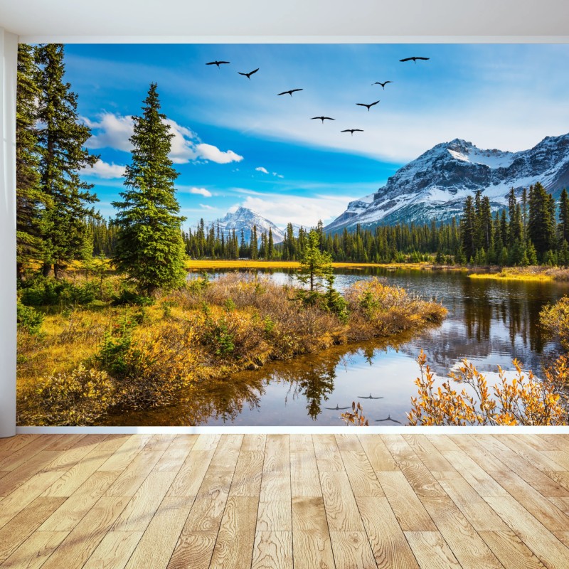 Fototapeten – Wallnifity®