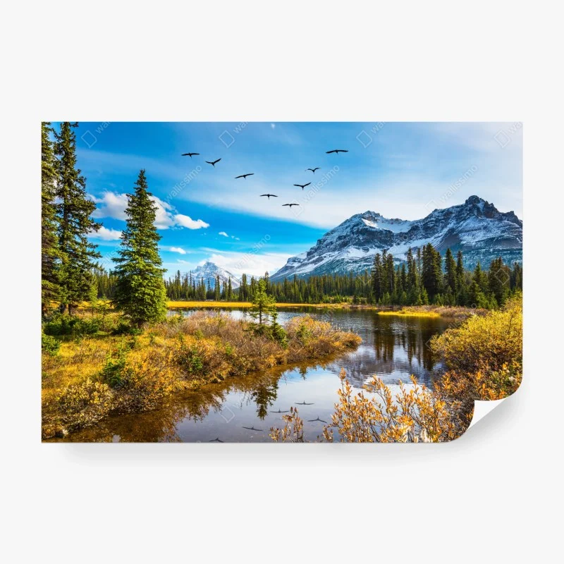Fototapeten – Wallnifity®