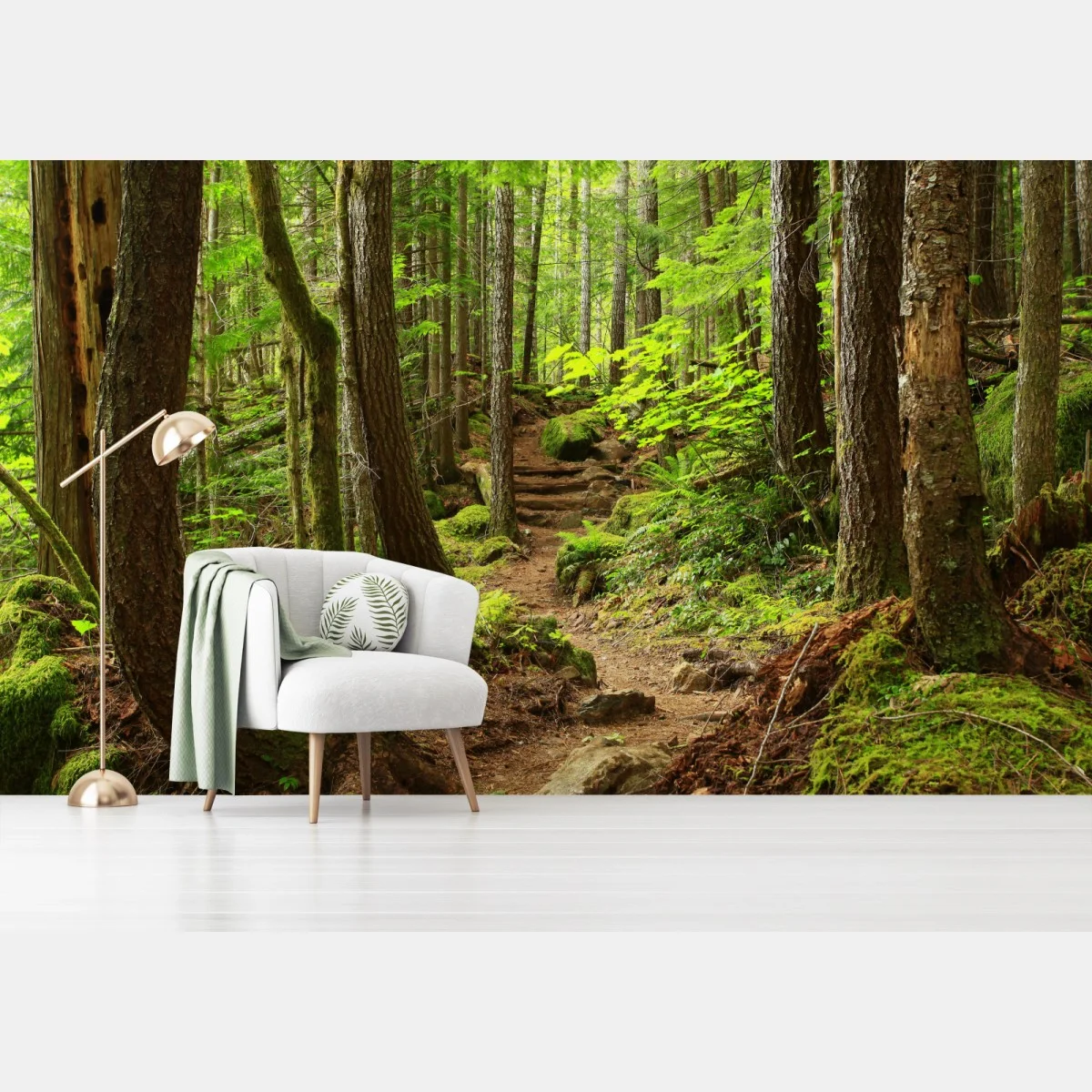 Fototapete moosiger waldpfad – Wallnifity® Fototapete moosiger waldpfad – Wallnifity®