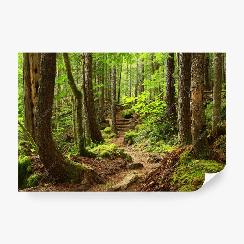 Wohnzimmer – Wallnifity®